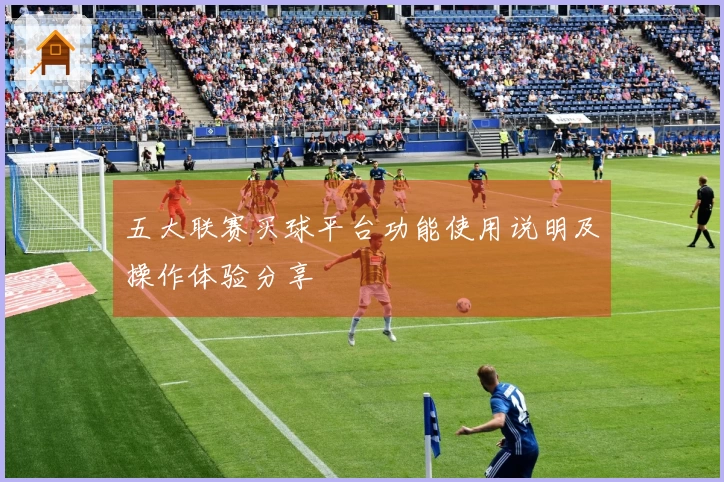 五大联赛买球平台功能使用说明及操作体验分享