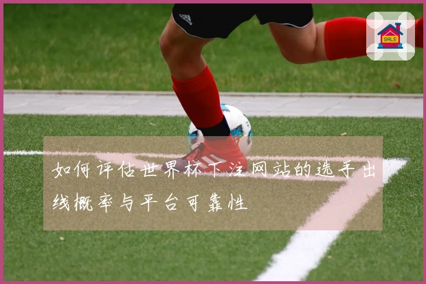 如何评估世界杯下注网站的选手出线概率与平台可靠性