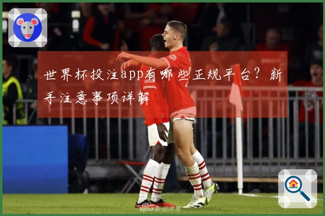 世界杯投注app有哪些正规平台？新手注意事项详解