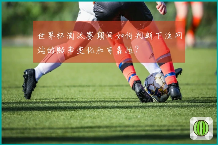 世界杯淘汰赛期间如何判断下注网站的赔率变化和可靠性？