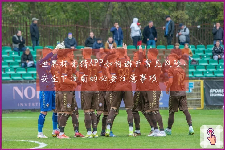 世界杯竞猜APP如何避开常见风险，安全下注前的必要注意事项