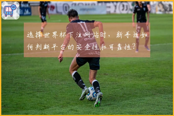 选择世界杯下注网站时，新手该如何判断平台的安全性和可靠性？