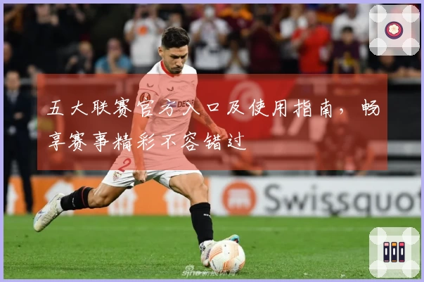 五大联赛官方入口及使用指南，畅享赛事精彩不容错过