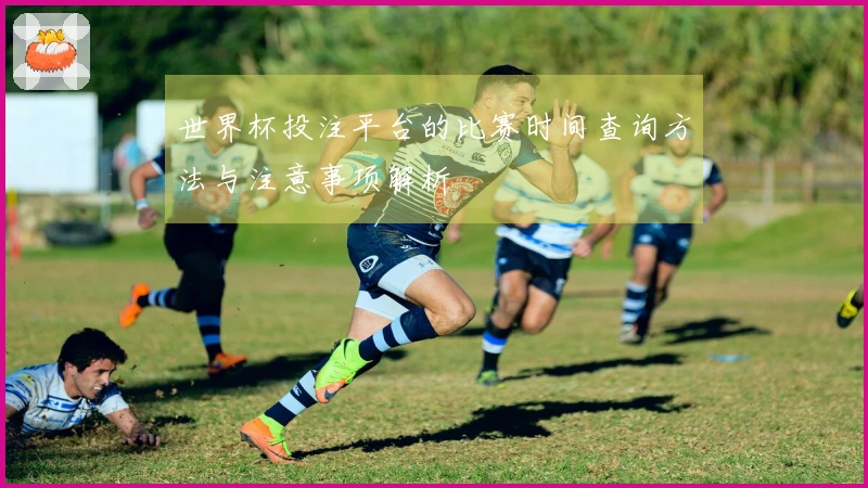 世界杯投注平台的比赛时间查询方法与注意事项解析