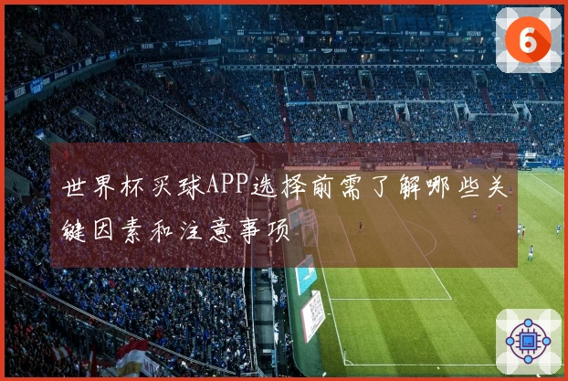 世界杯买球APP选择前需了解哪些关键因素和注意事项