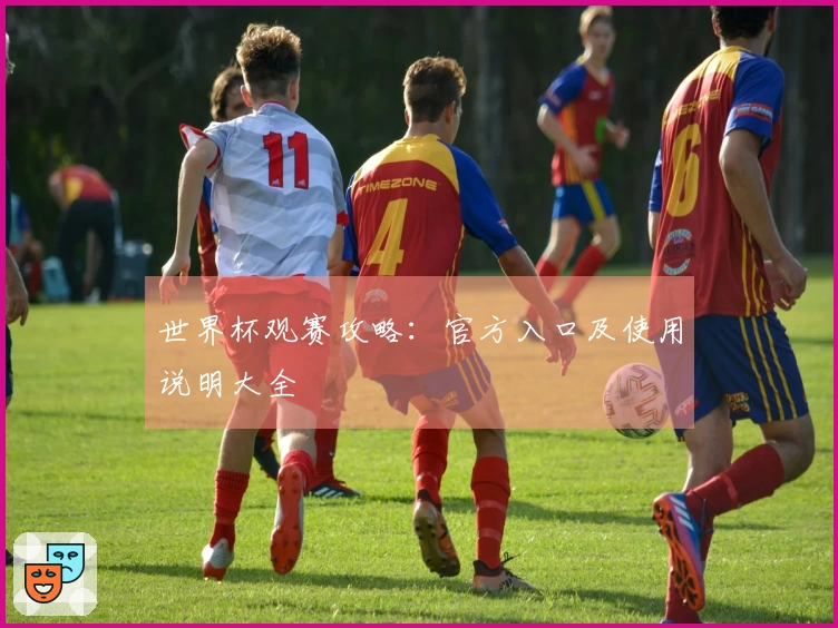 世界杯观赛攻略：官方入口及使用说明大全