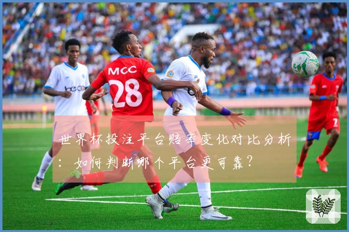 世界杯投注平台赔率变化对比分析：如何判断哪个平台更可靠？