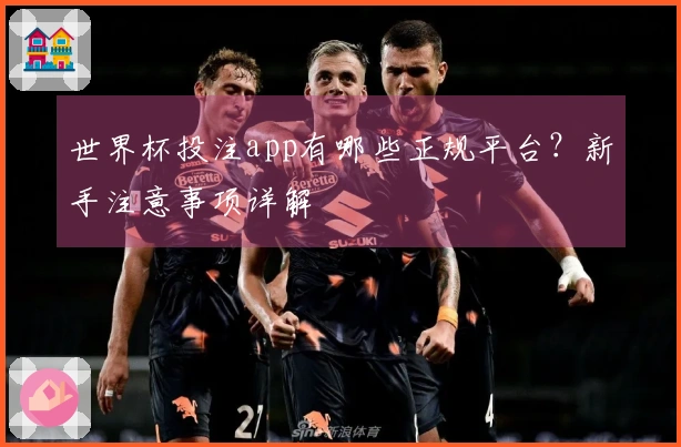 世界杯投注app有哪些正规平台？新手注意事项详解