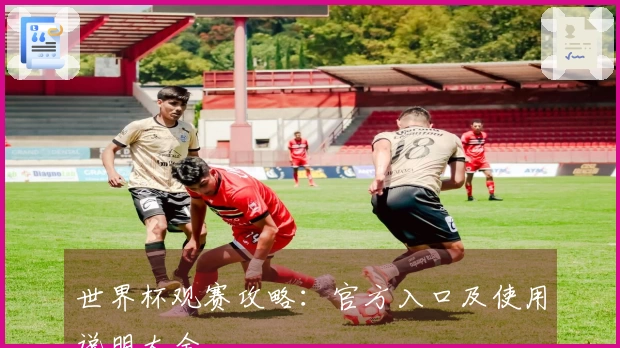 世界杯观赛攻略：官方入口及使用说明大全