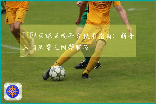 FIFA买球正规平台使用指南：新手入门及常见问题解答