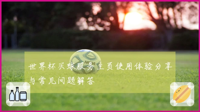 世界杯买球服务主页使用体验分享与常见问题解答