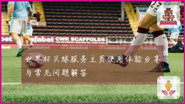 世界杯买球服务主页使用体验分享与常见问题解答