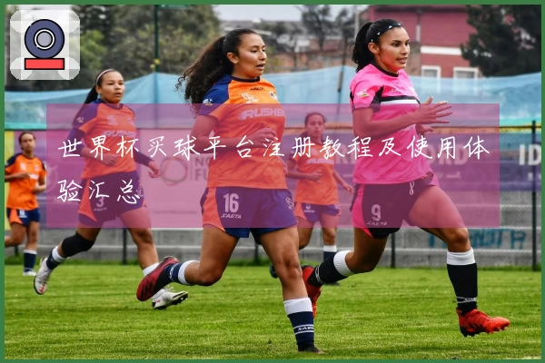 世界杯买球平台注册教程及使用体验汇总