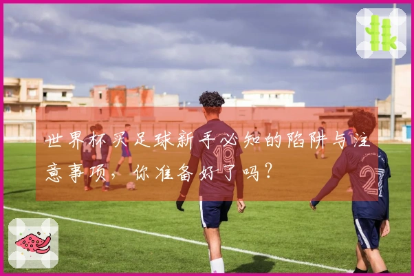 世界杯买足球新手必知的陷阱与注意事项,你准备好了吗?