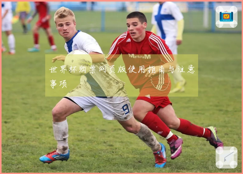世界杯购票网页版使用指南与注意事项