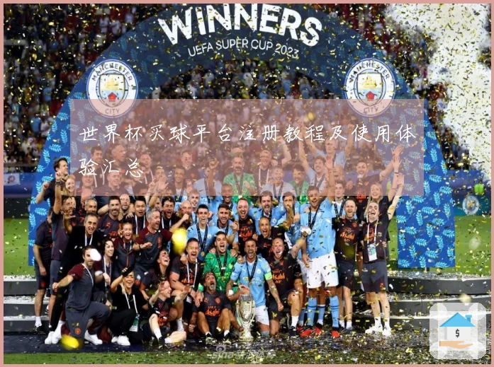 世界杯买球平台注册教程及使用体验汇总