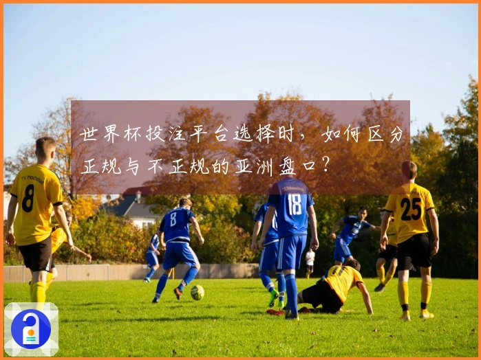 世界杯投注平台选择时，如何区分正规与不正规的亚洲盘口？